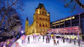 PISTA DE HIELO EN EL MUSEO DE HISTORIA NATURAL en LONDRES