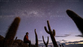 Verano estelar