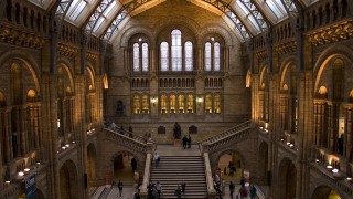 MUSEO DE HISTORIA NATURAL en LONDRES CON NIÑOS