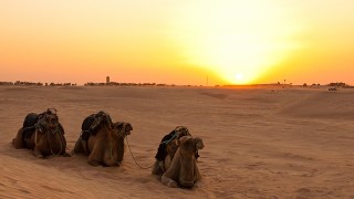 Los tres desiertos de Túnez