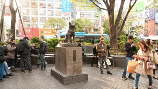 Hachiko, el perro más famoso de Japón