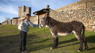 ¿Por qué hacer Turismo Rural? Razones por las que deberíamos acercarnos más al mundo rural