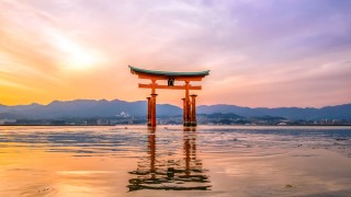 ¿Cómo contratar el mejor seguro de viaje para Japón?