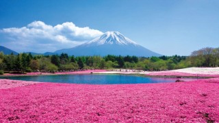 Naturaleza y montañas: descubre Japón fuera de la ruta turística