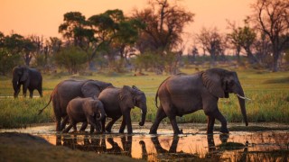 Botswana en 20 preguntas/respuestas