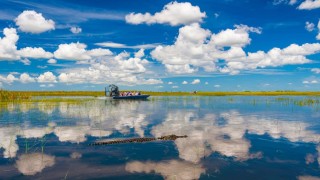 Todo lo que debes saber para visitar los Everglades en Florida