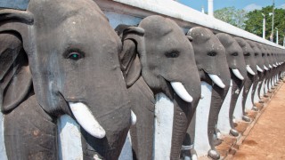 Consejos y recomendaciones para tu viaje a Sri Lanka